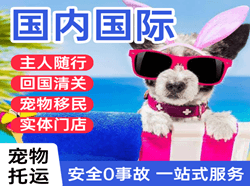 鄂托克旗乌兰机场物流国际宠物托运 【国